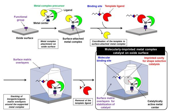 A preparation scheme for a molecularly-imprinted metal complex catalyst on an oxide surface.