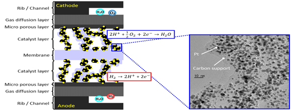 燃料電池電極触媒のリアルタイム・3次元解析